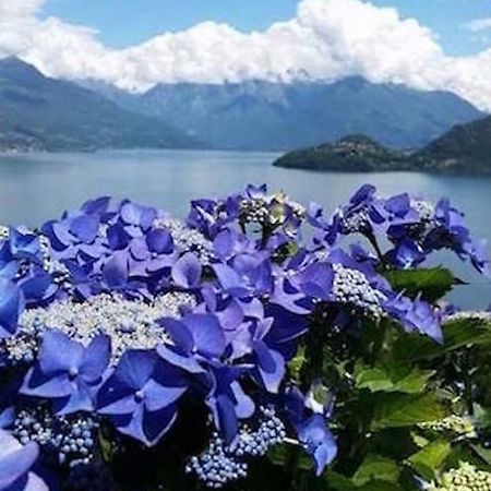 Agriturismo Piccolo Paradiso Pianello Del Lario Eksteriør billede