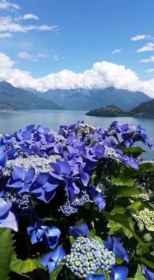 Agriturismo Piccolo Paradiso Pianello Del Lario Eksteriør billede