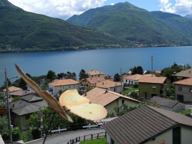 Agriturismo Piccolo Paradiso Pianello Del Lario Eksteriør billede