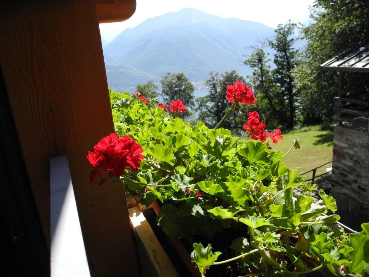 Agriturismo Piccolo Paradiso Pianello Del Lario Eksteriør billede