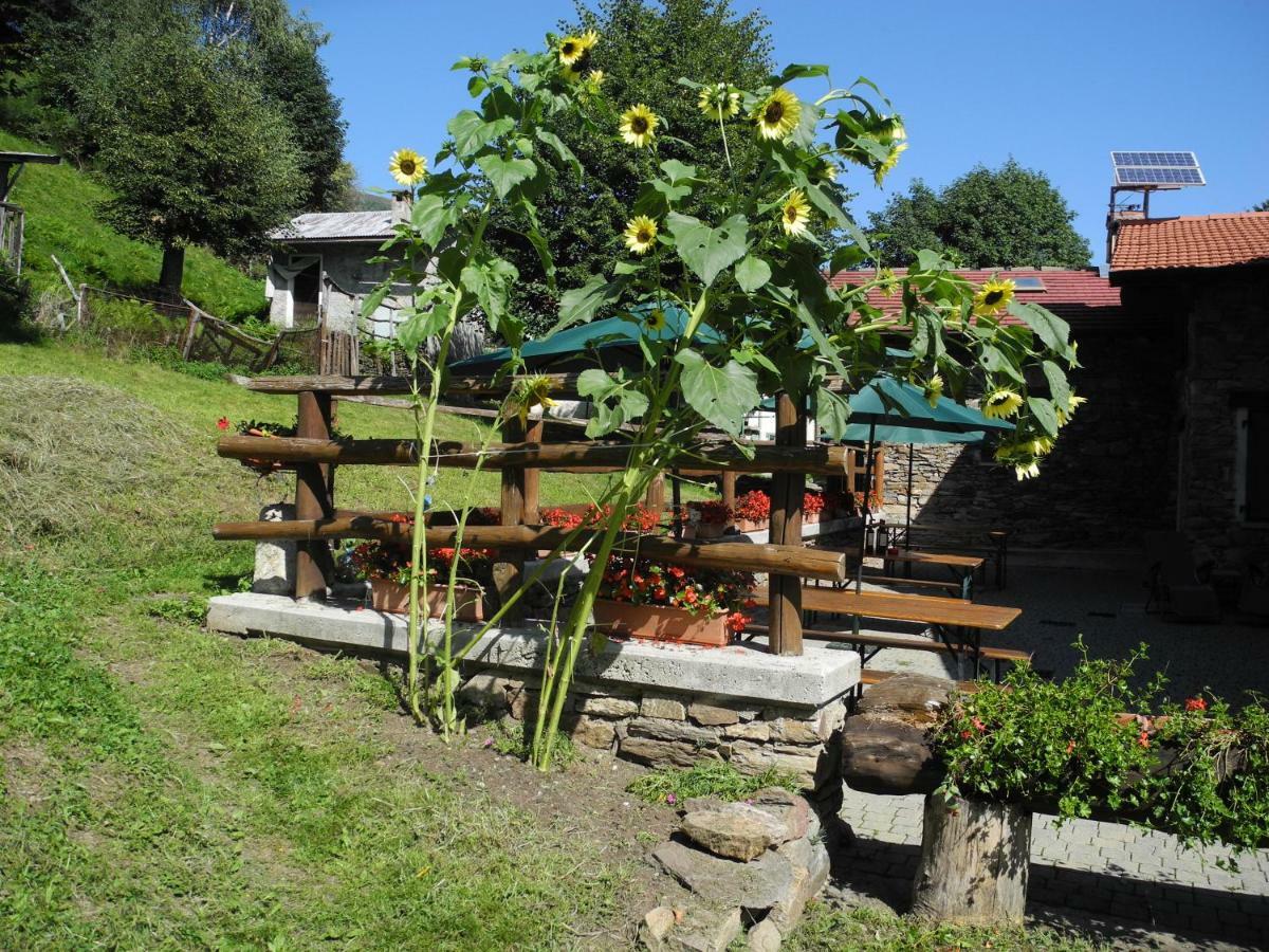 Agriturismo Piccolo Paradiso Pianello Del Lario Eksteriør billede